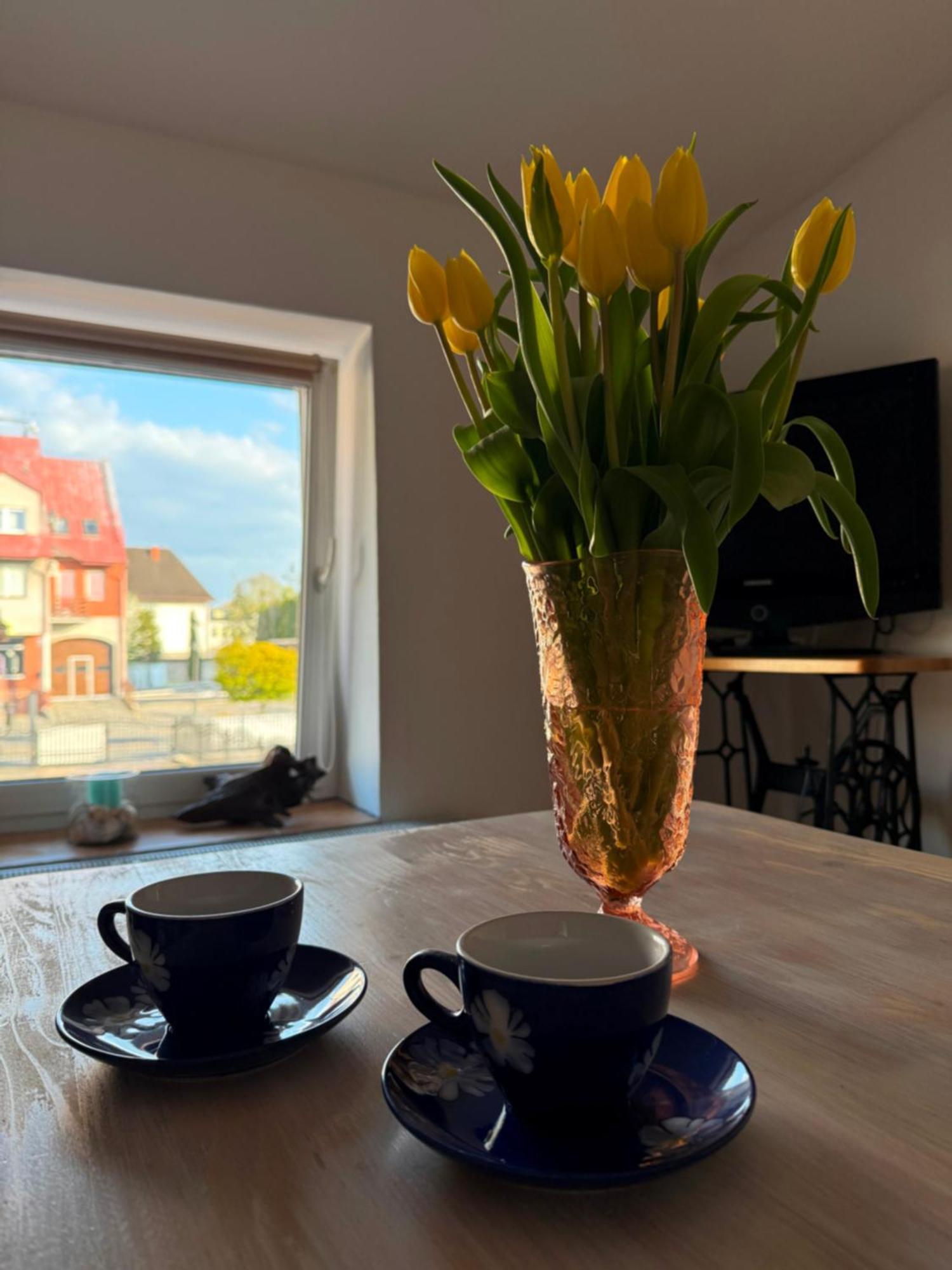 Studio Dwupokojowe Z Lazienka I Kuchnia Augustów Exterior foto